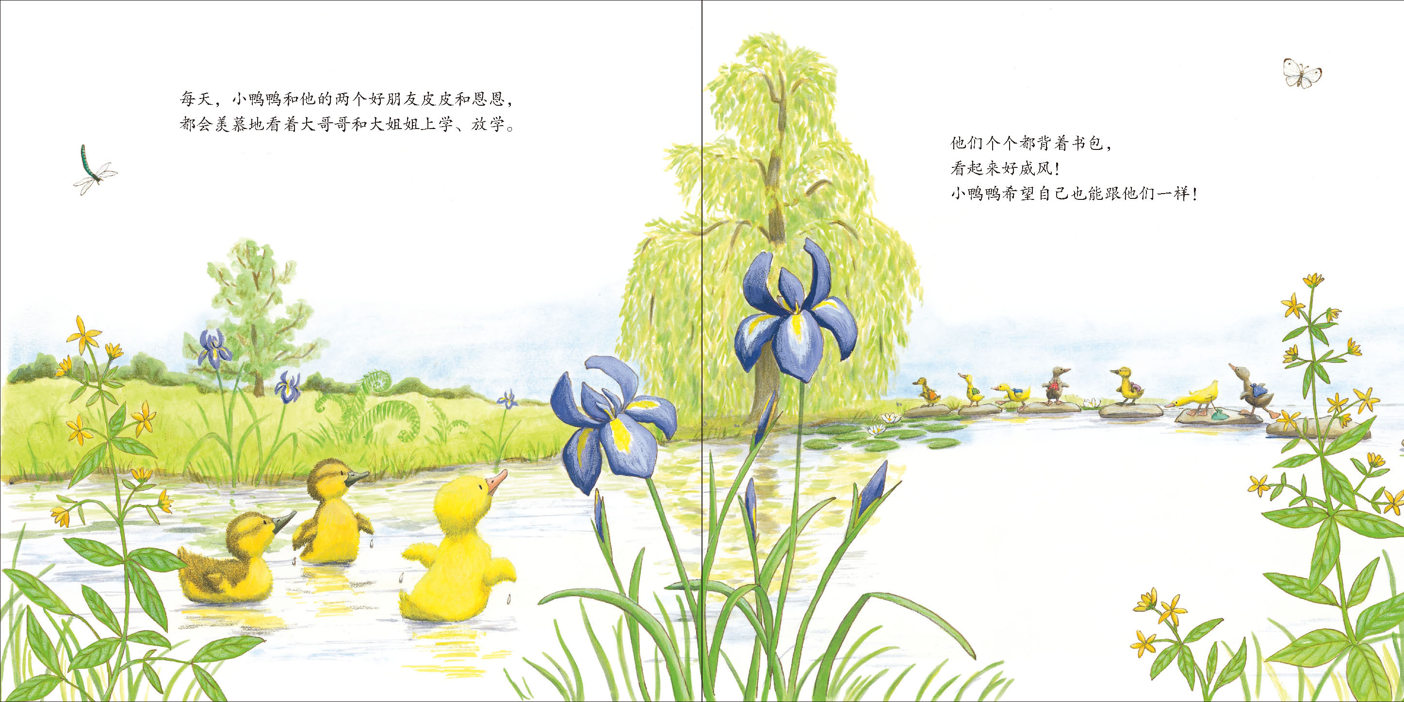 小鸭鸭上学去 (06),绘本,绘本故事,绘本阅读,故事书,童书,图画书,课外阅读